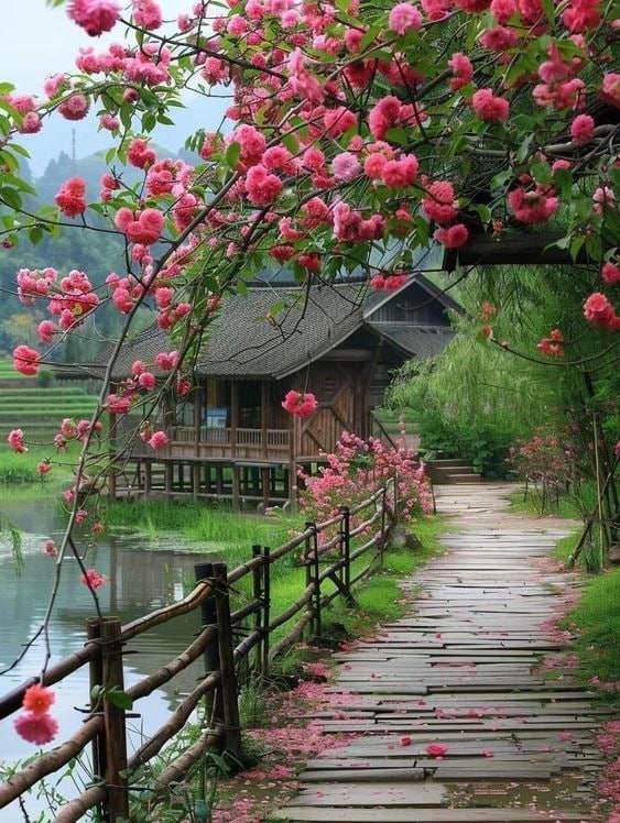 Blossoms by the Lake